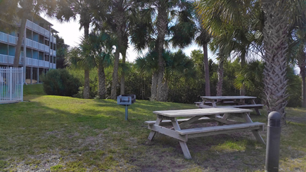 picnic area