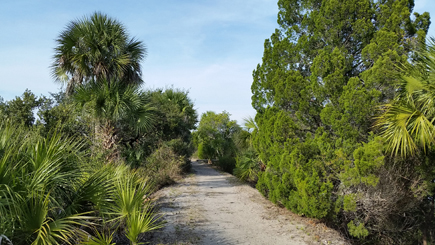 nearby nature trail through the wetlands